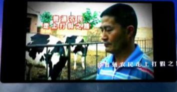 爆料大案三集视频播放,视频播放背后的惊心动魄 第3张 爆料大案三集视频播放,视频播放背后的惊心动魄 第3张